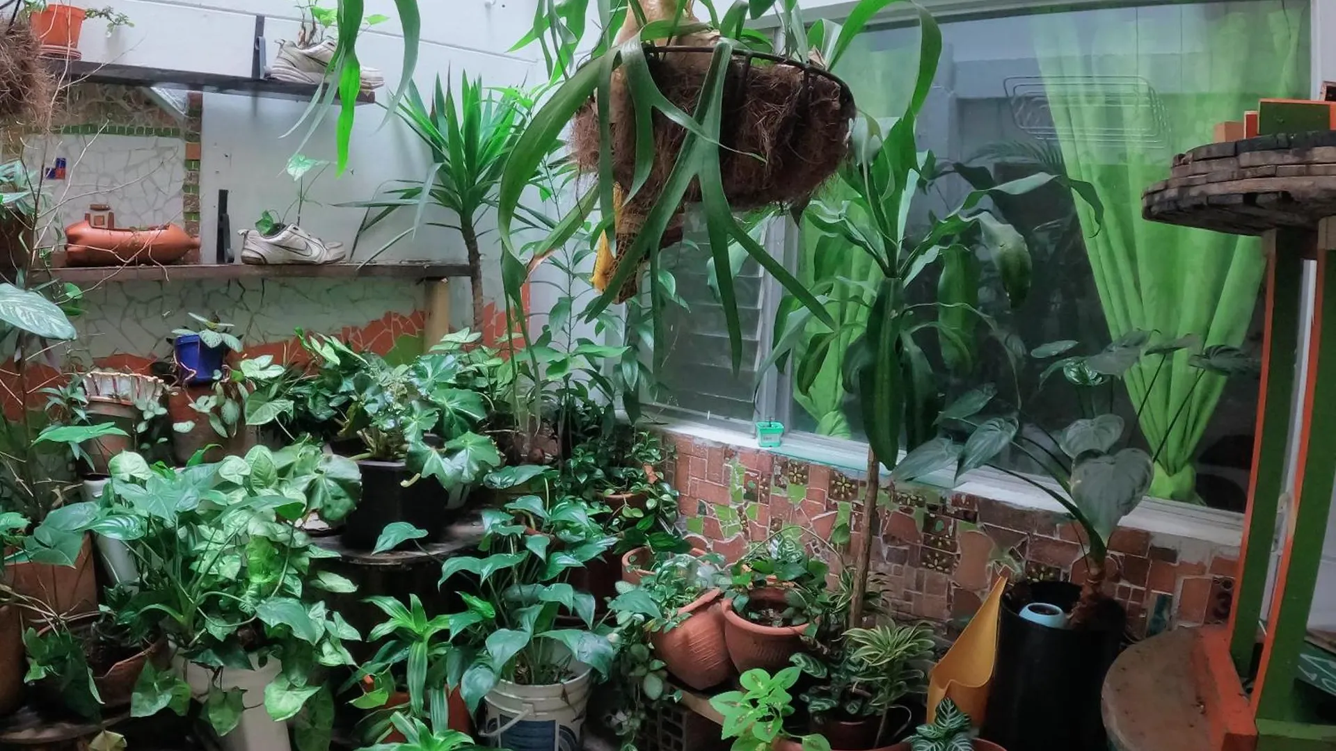 Hostal Rich Medellin